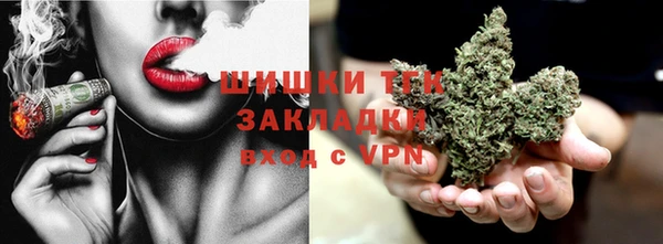тгк Гусь-Хрустальный