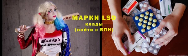 spice Гусиноозёрск