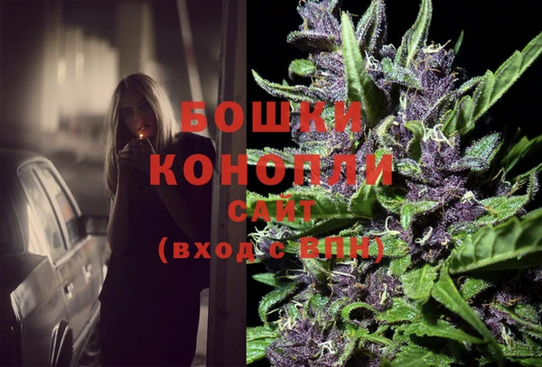 spice Гусиноозёрск