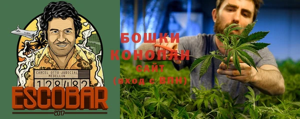 spice Гусиноозёрск