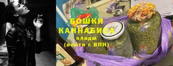 spice Гусиноозёрск