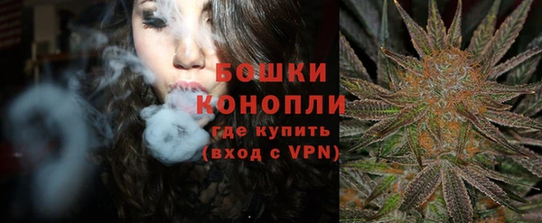 spice Гусиноозёрск