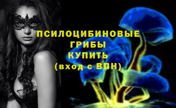 МДМА Гусев