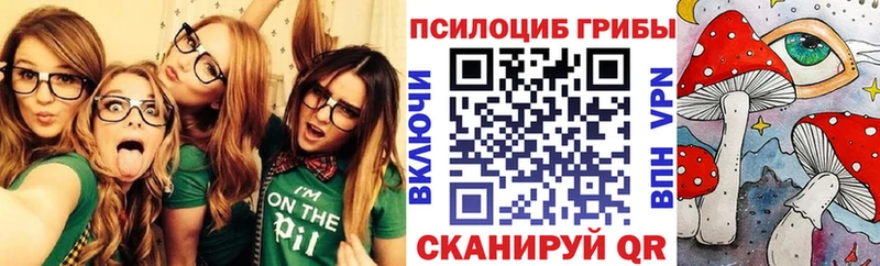 Галлюциногенные грибы Psilocybine cubensis  площадка наркотические препараты  Невинномысск  OMG ТОР 