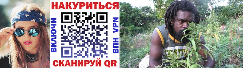 Конопля индика  Невинномысск 